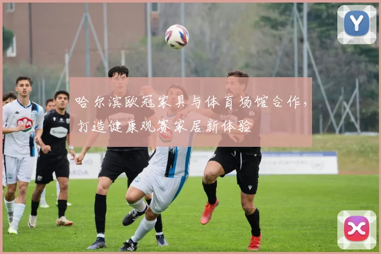 哈尔滨欧冠家具与体育场馆合作,打造健康观赛家居新体验