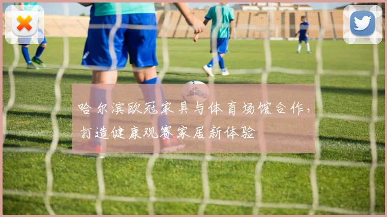 哈尔滨欧冠家具与体育场馆合作，打造健康观赛家居新体验