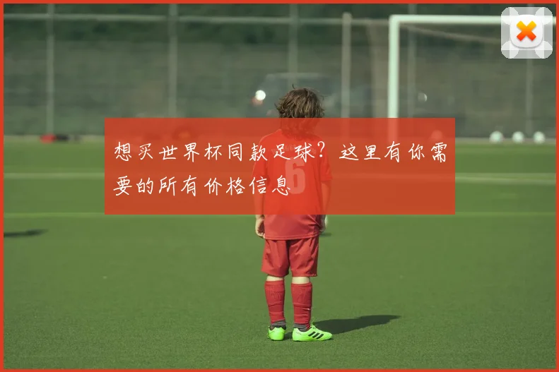 想买世界杯同款足球?这里有你需要的所有价格信息