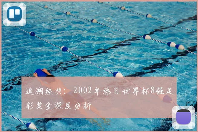 追溯经典：2002年韩日世界杯8强足彩奖金深度分析