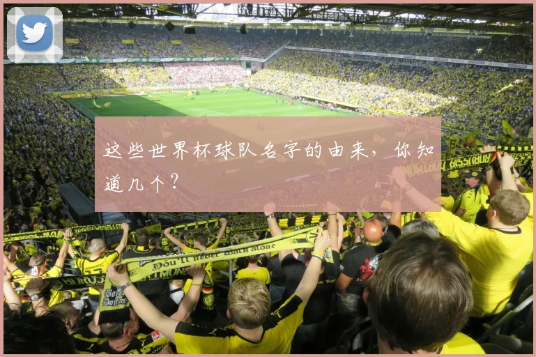 这些世界杯球队名字的由来，你知道几个？