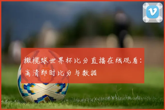 橄榄球世界杯比分直播在线观看：高清即时比分与数据