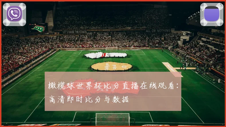 橄榄球世界杯比分直播在线观看：高清即时比分与数据