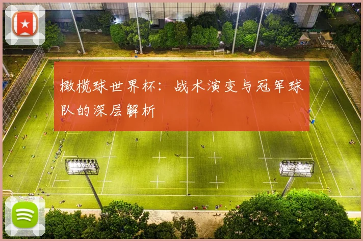 橄榄球世界杯：战术演变与冠军球队的深层解析