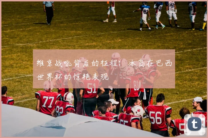 维京战吼背后的征程:冰岛在巴西世界杯的惊艳表现