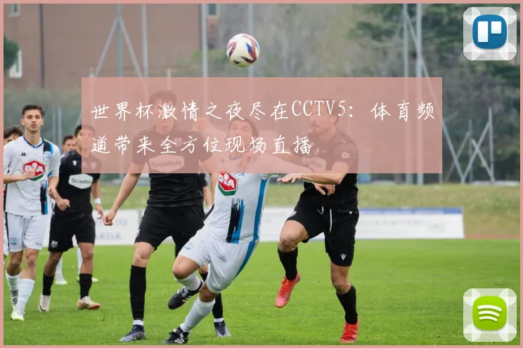 世界杯激情之夜尽在CCTV5：体育频道带来全方位现场直播