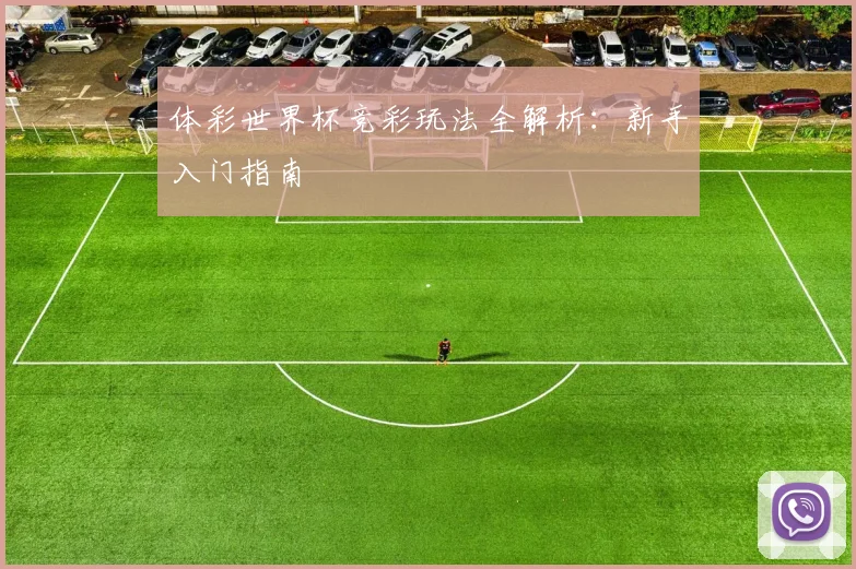 体彩世界杯竞彩玩法全解析：新手入门指南