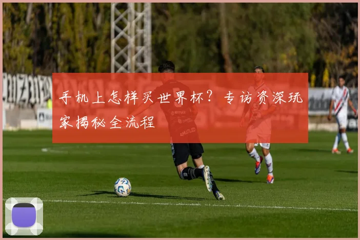 手机上怎样买世界杯？专访资深玩家揭秘全流程