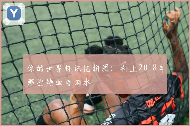 你的世界杯记忆拼图：补上2018年那些热血与泪水